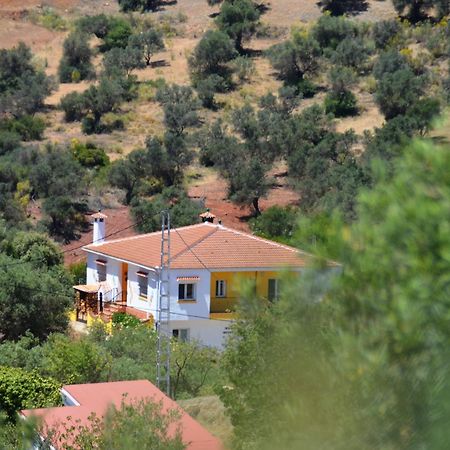 B&B Casa El Corasueno Almogía Kültér fotó